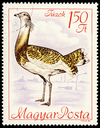 Great Bustard