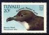 Phoenix Petrel