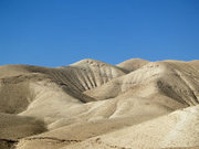 temperate desert location