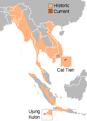 Range of the Javan rhino