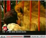 Lion hugs rescuer